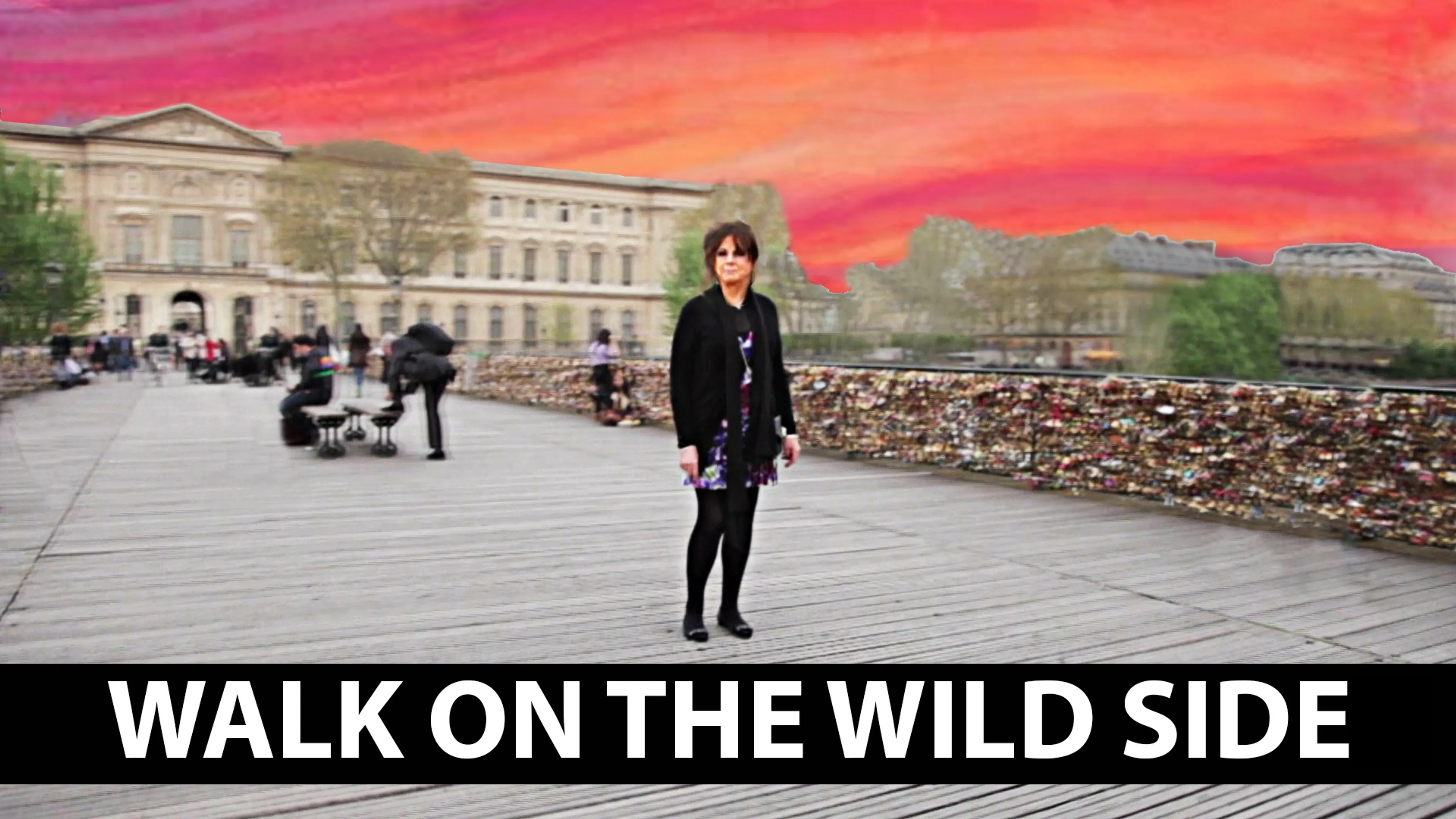 Walk on the Wild Side poster